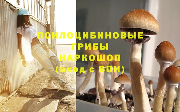 apvp Коряжма