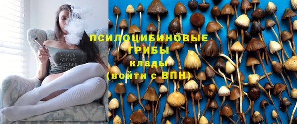 apvp Коряжма
