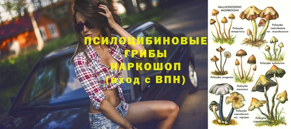 apvp Коряжма